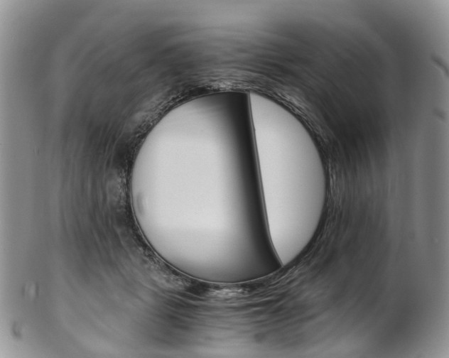 X0000103140461200808221108