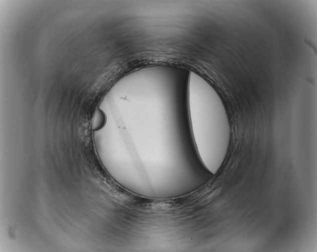 X0000103140462200808221108