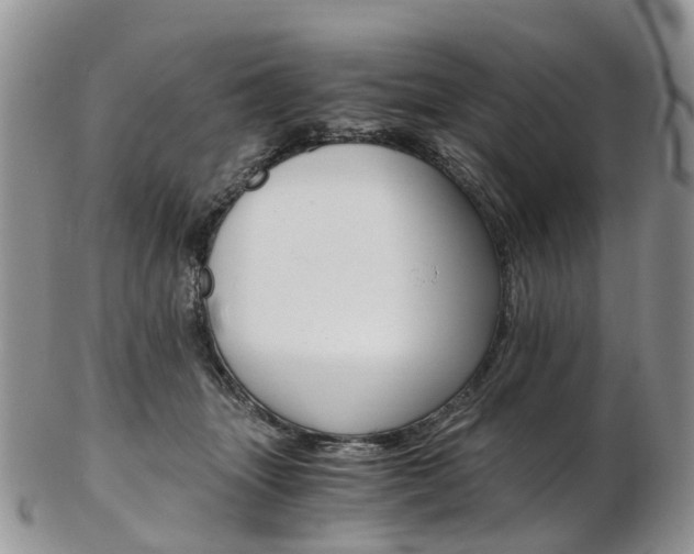 X0000103140463200808221108