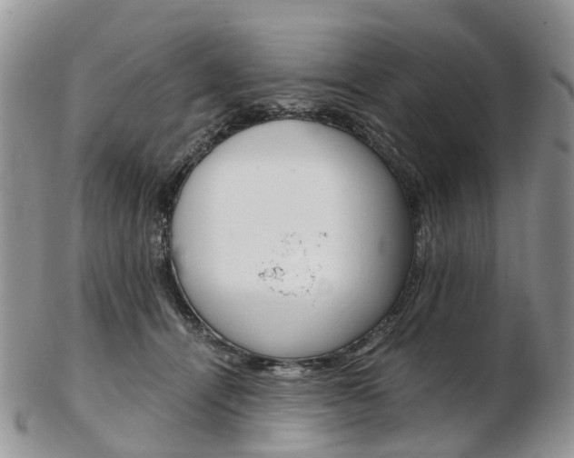 X0000103140464200808221108
