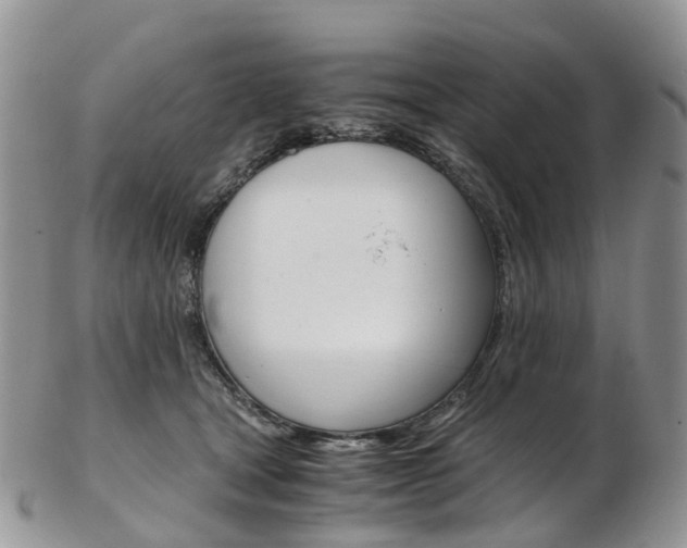 X0000103140465200808221108