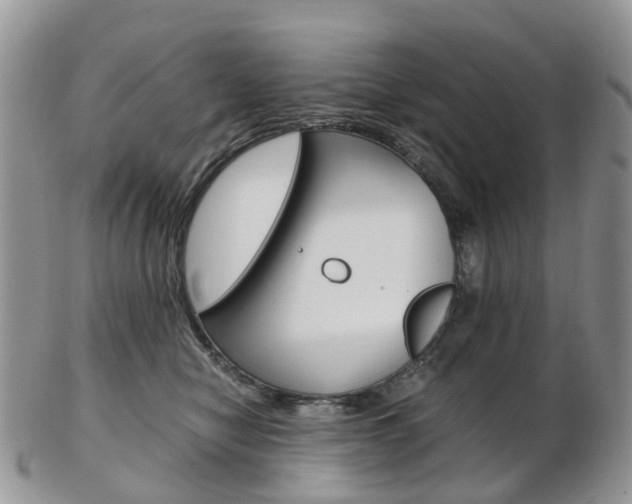X0000103140470200808221108