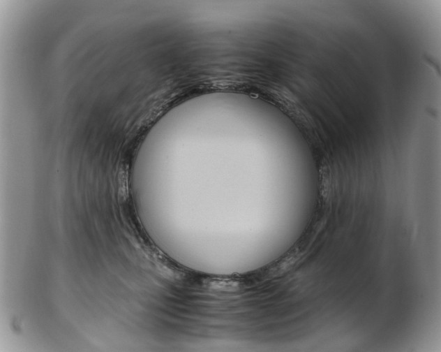 X0000103140471200808221108