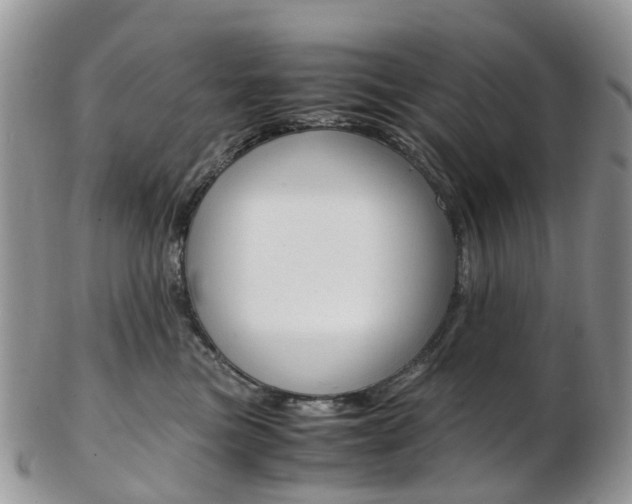 X0000103140473200808221108