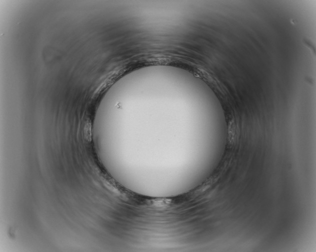X0000103140474200808221108