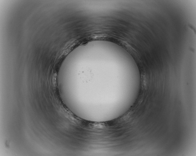 X0000103140475200808221108