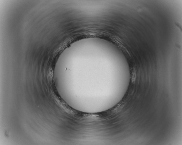 X0000103140476200808221108