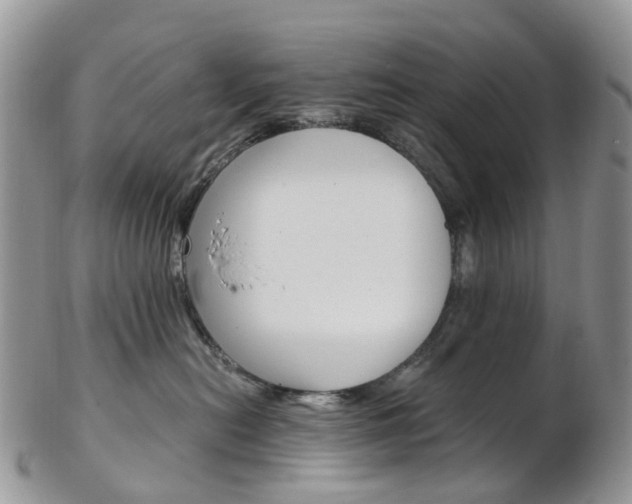 X0000103140478200808221108