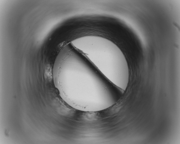 X0000103140479200808221108