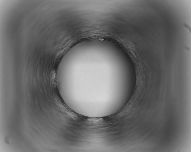 X0000103140480200808221108