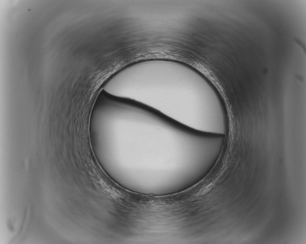 X0000103140481200808221108