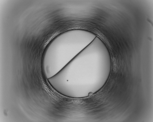 X0000103140482200808221108