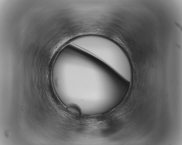 X0000103140483200808221108