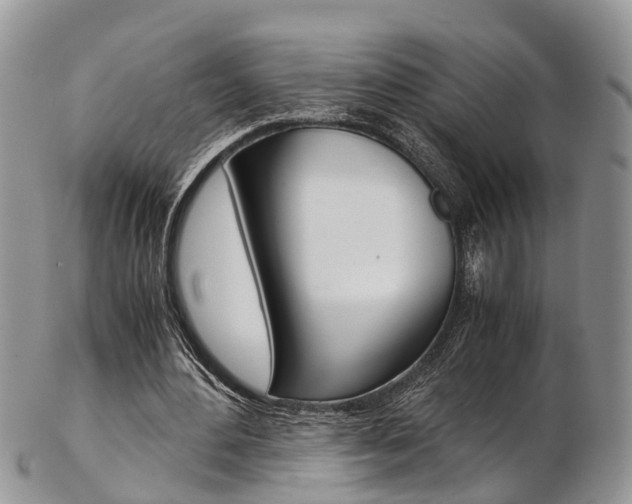 X0000103140484200808221108