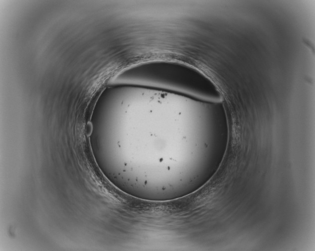 X0000103140485200808221108