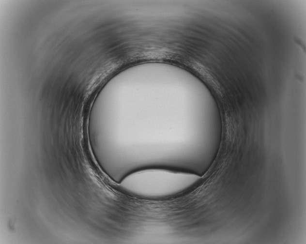 X0000103140486200808221108
