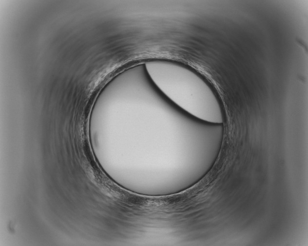 X0000103140487200808221108