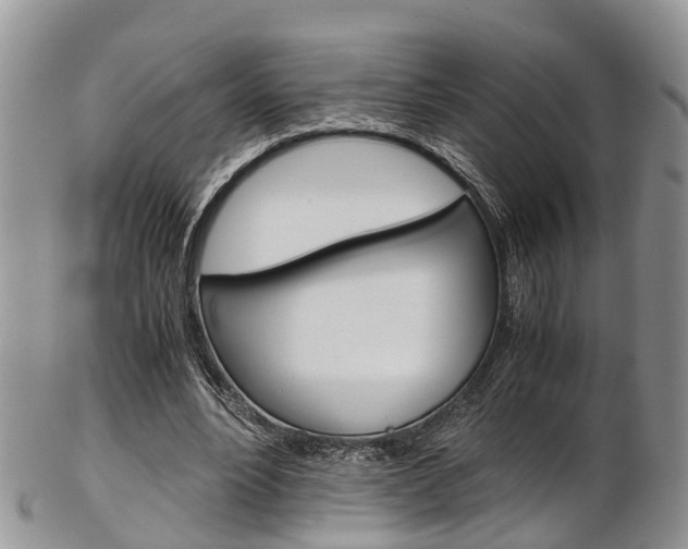 X0000103140488200808221108