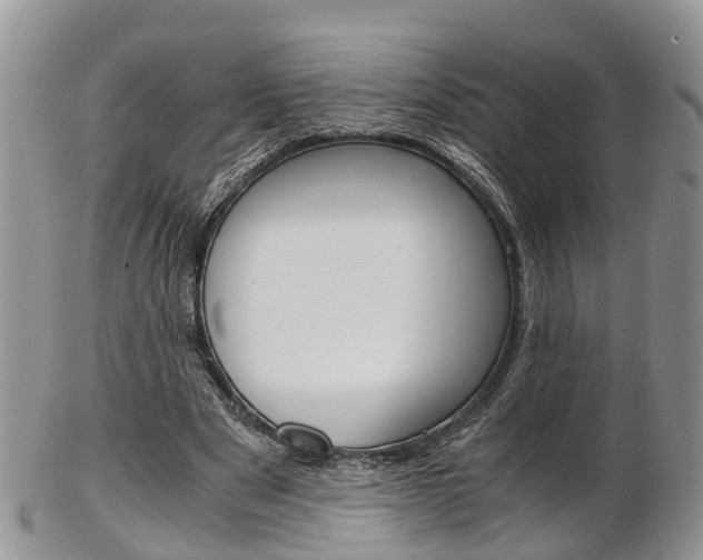 X0000103140489200808221108