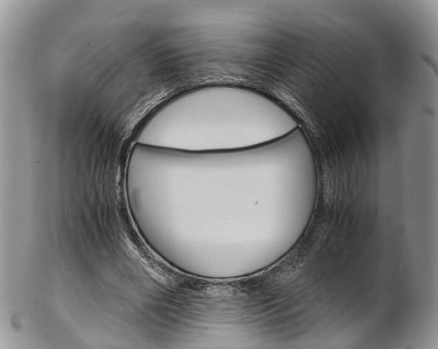 X0000103140490200808221108