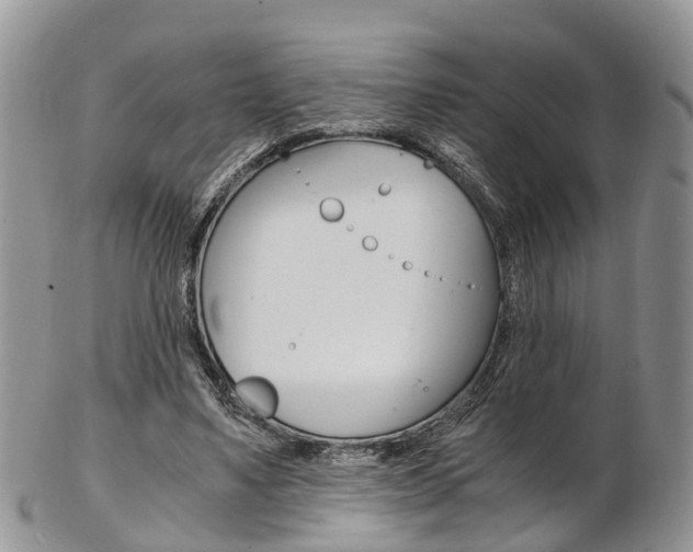 X0000103140491200808221108