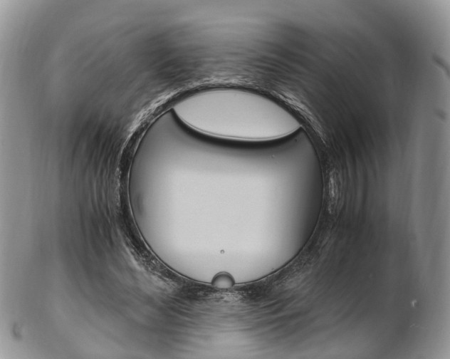 X0000103140492200808221108