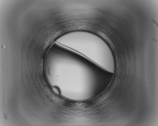X0000103140493200808221108