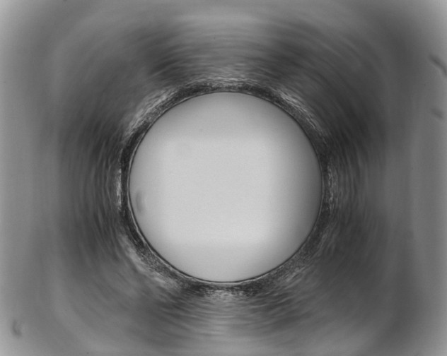X0000103140494200808221108