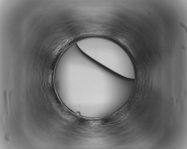 X0000103140495200808221108