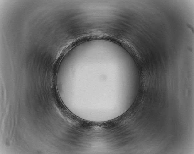X0000103140496200808221108