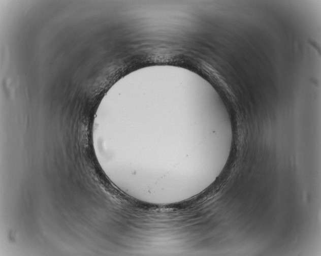 X0000103140497200808221107