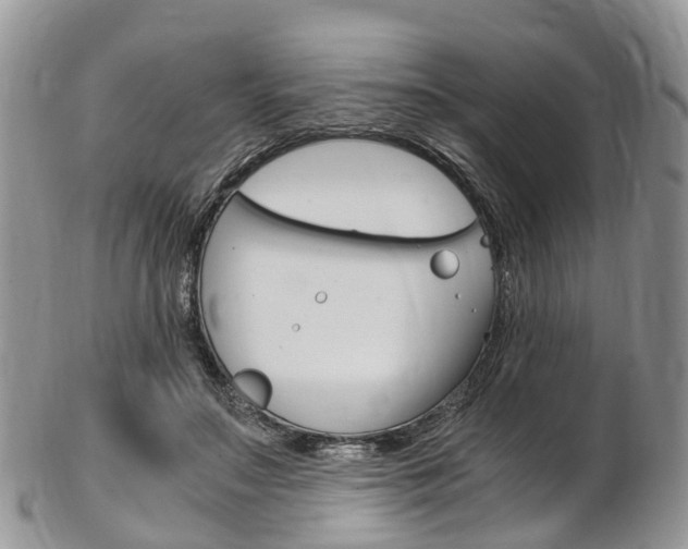 X0000103140499200808221107