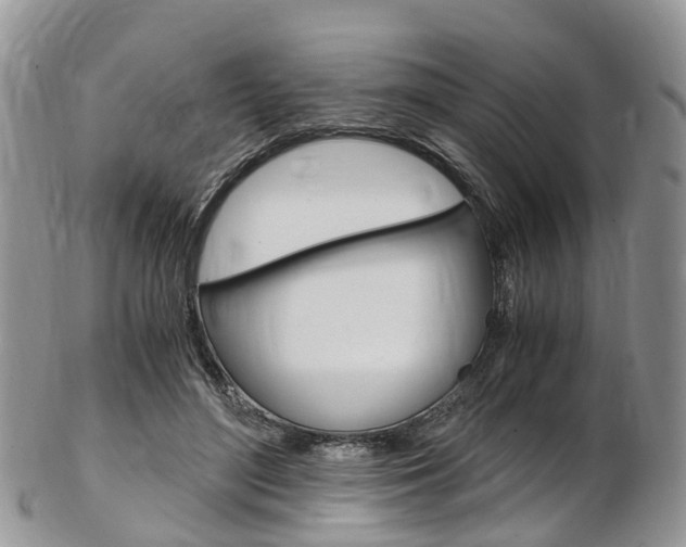 X0000103140500200808221107