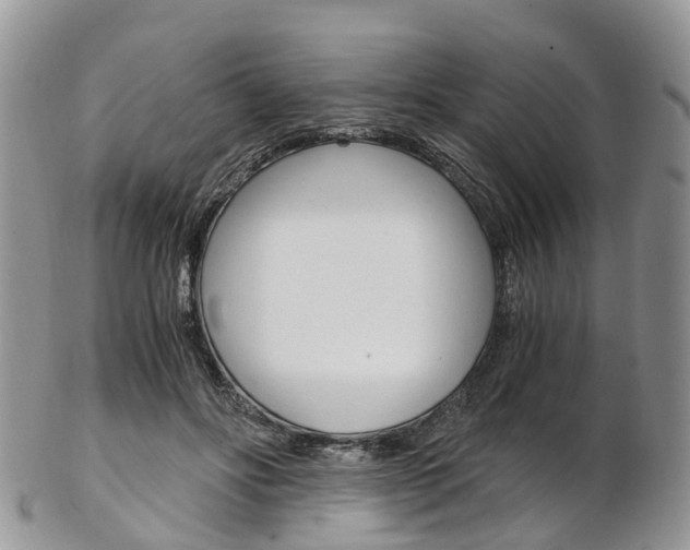 X0000103140502200808221107