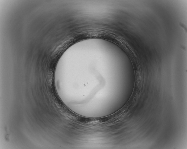 X0000103140505200808221107