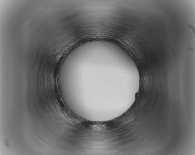 X0000103140508200808221107