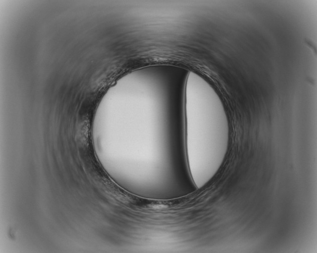 X0000103140509200808221107
