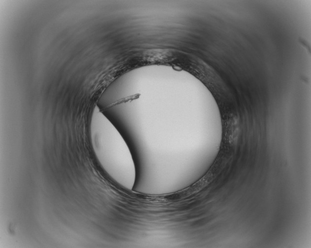 X0000103140510200808221107
