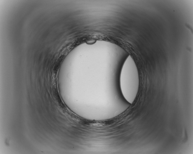 X0000103140511200808221107