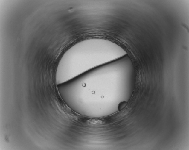 X0000103140512200808221107