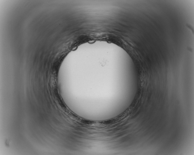 X0000103140515200808221107