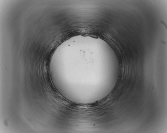 X0000103140516200808221107