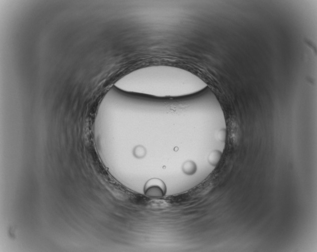 X0000103140519200808221107