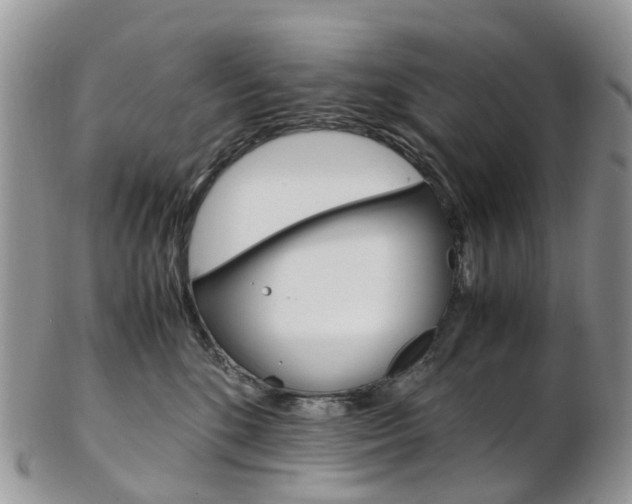 X0000103140520200808221107
