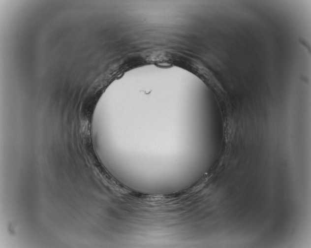X0000103140521200808221107