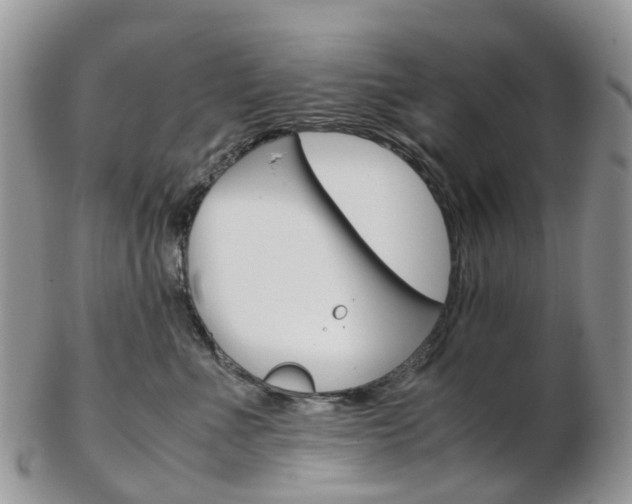 X0000103140523200808221107