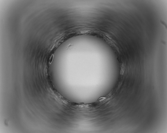 X0000103140524200808221107
