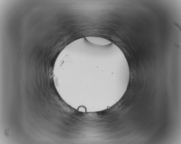 X0000103140525200808221107
