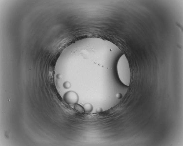 X0000103140527200808221107