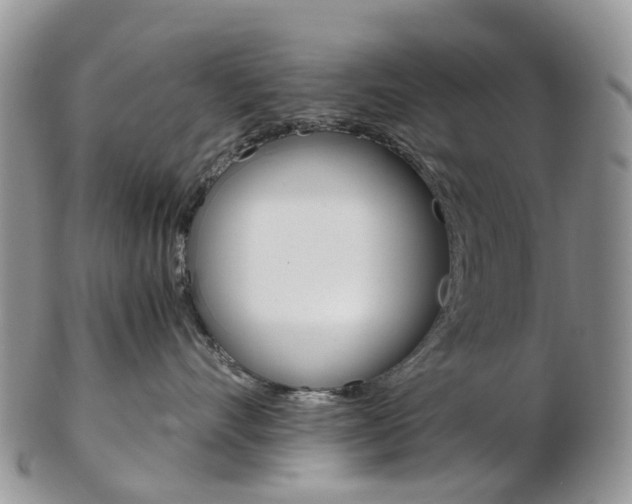 X0000103140528200808221107